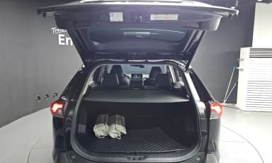 RAV4 5th Generation