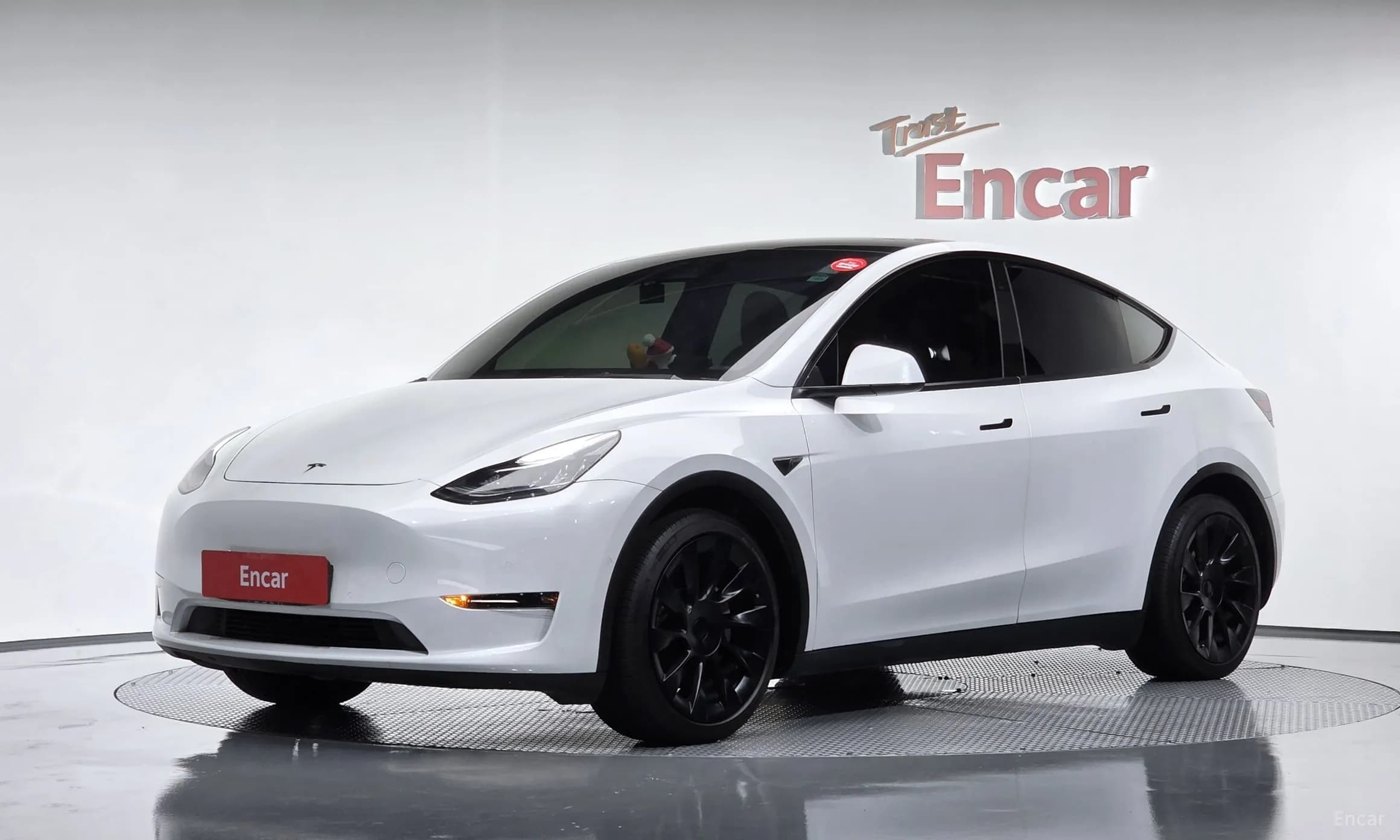 Model Y
