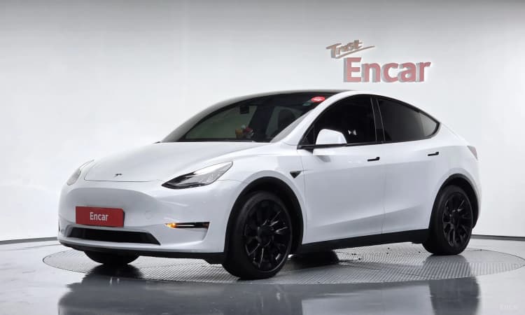 Model Y