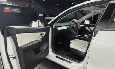Model Y