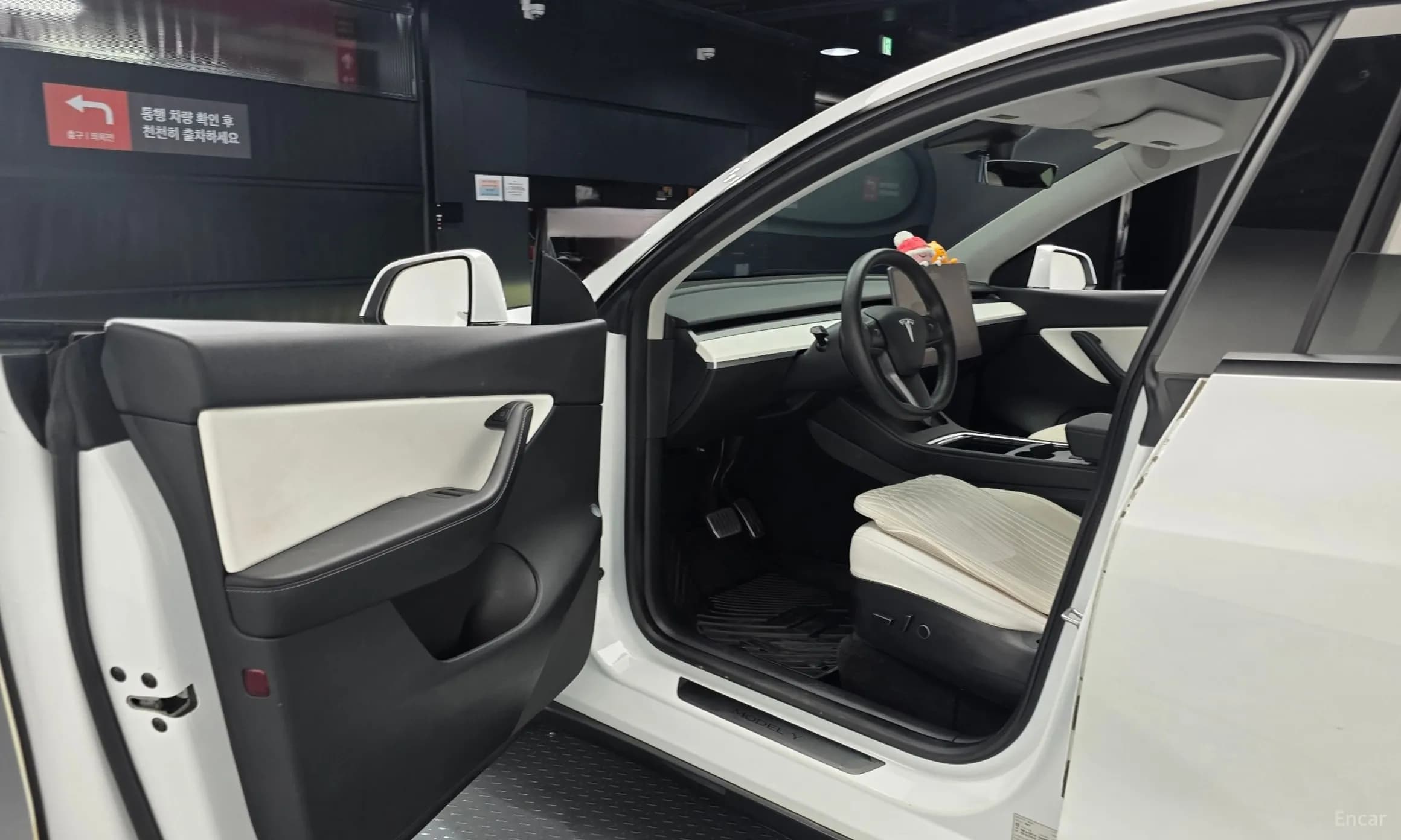 Model Y
