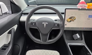 Model Y