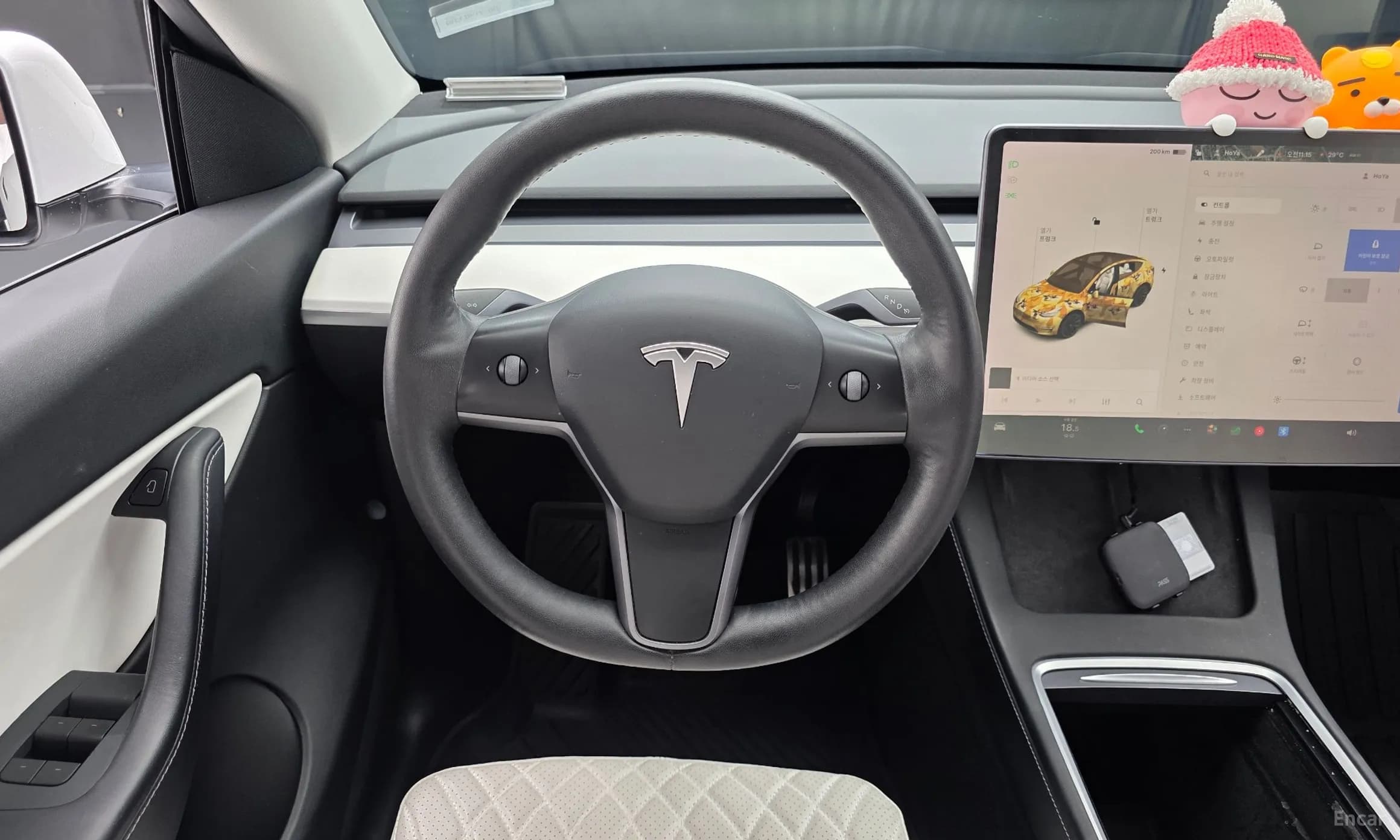 Model Y