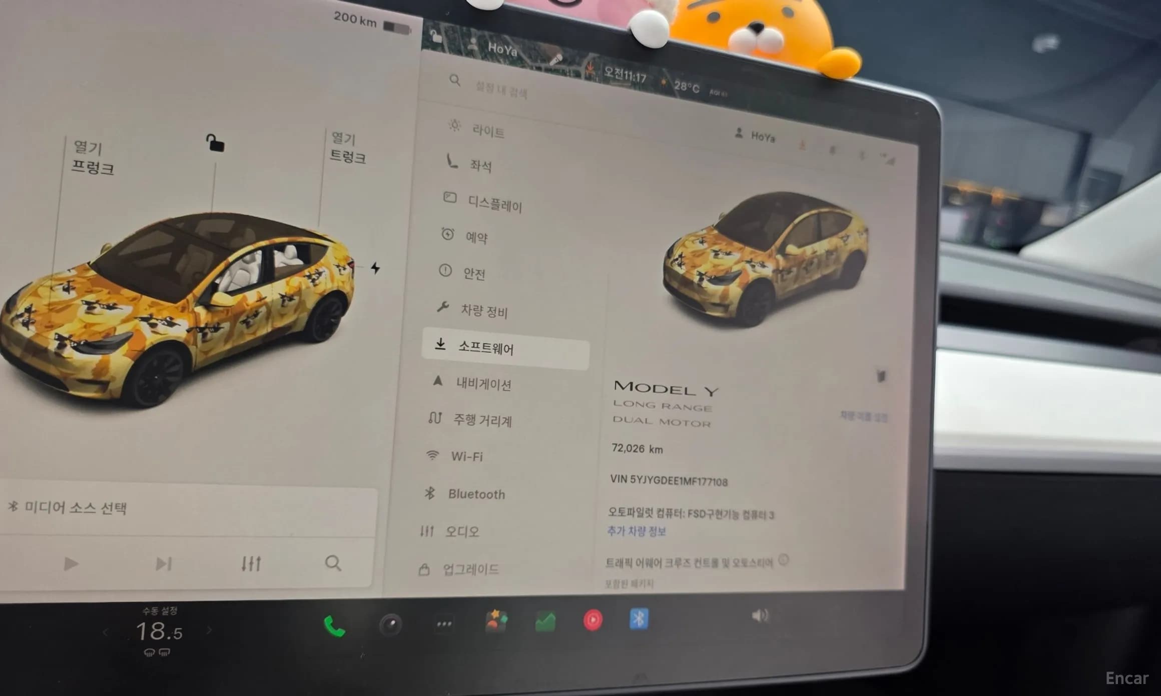 Model Y