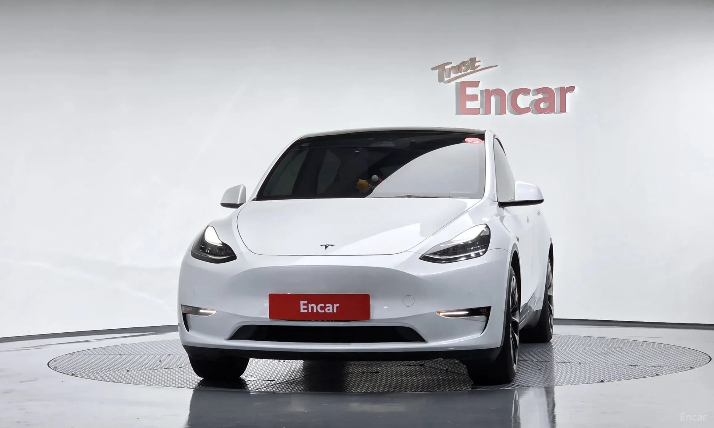 Model Y