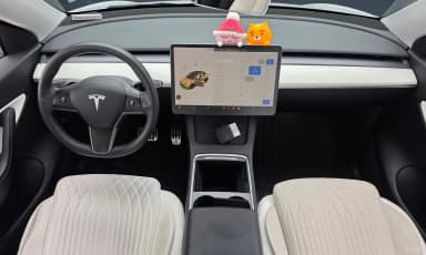 Model Y