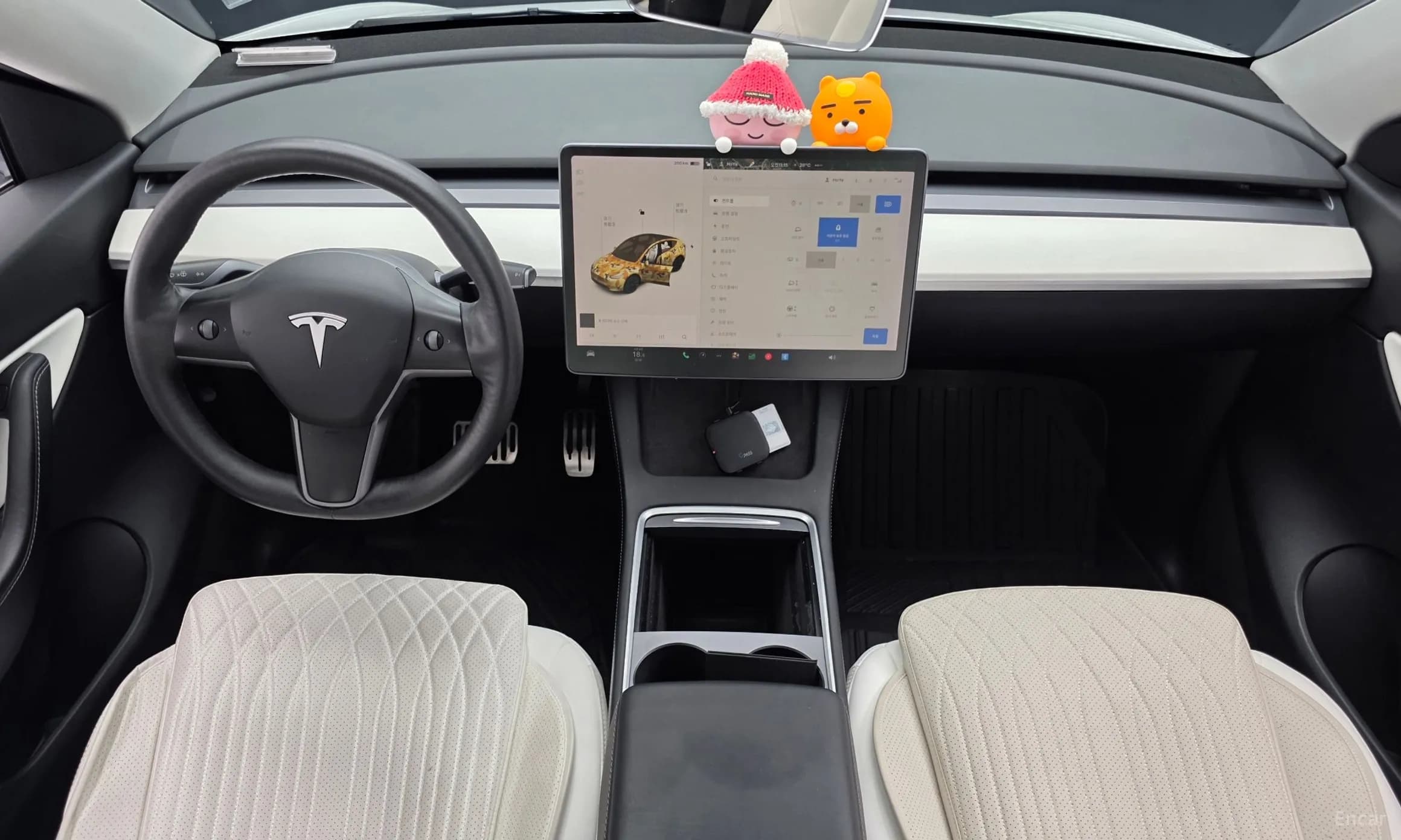 Model Y