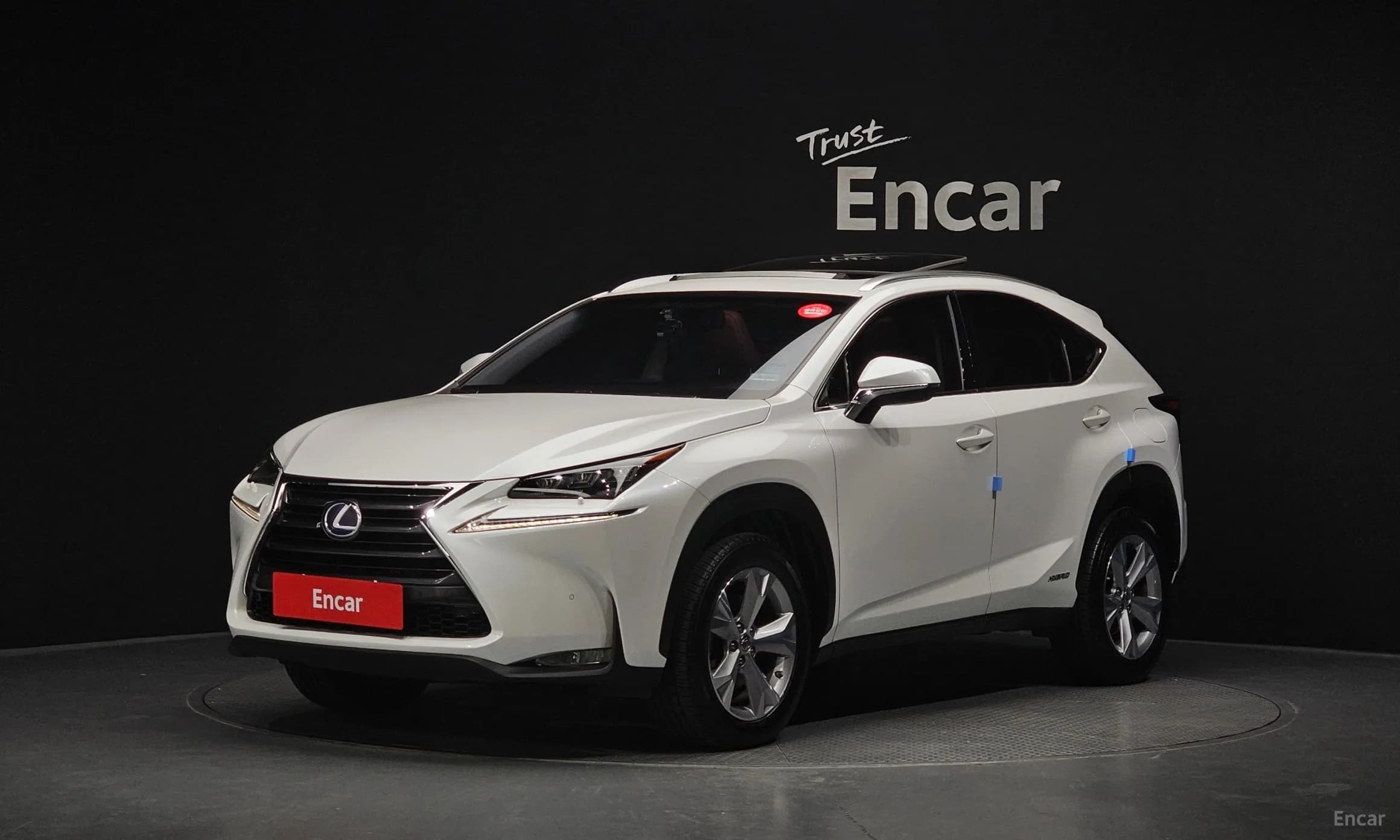 NX300h