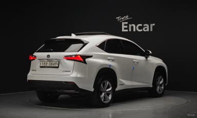 NX300h