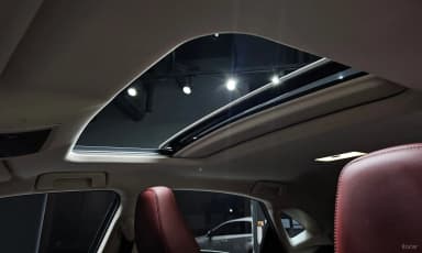 NX300h