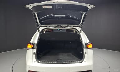 NX300h