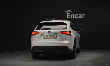 NX300h