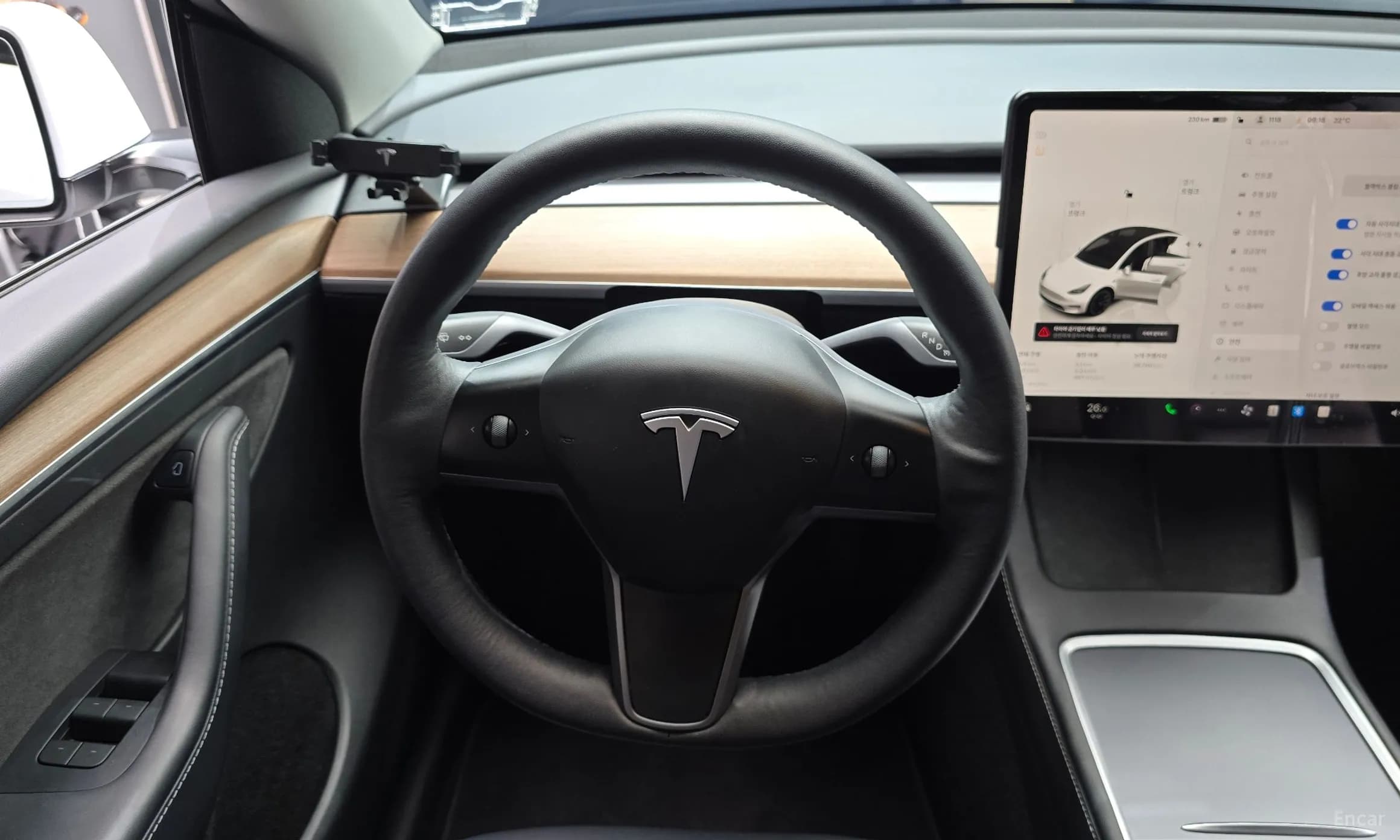 Model Y