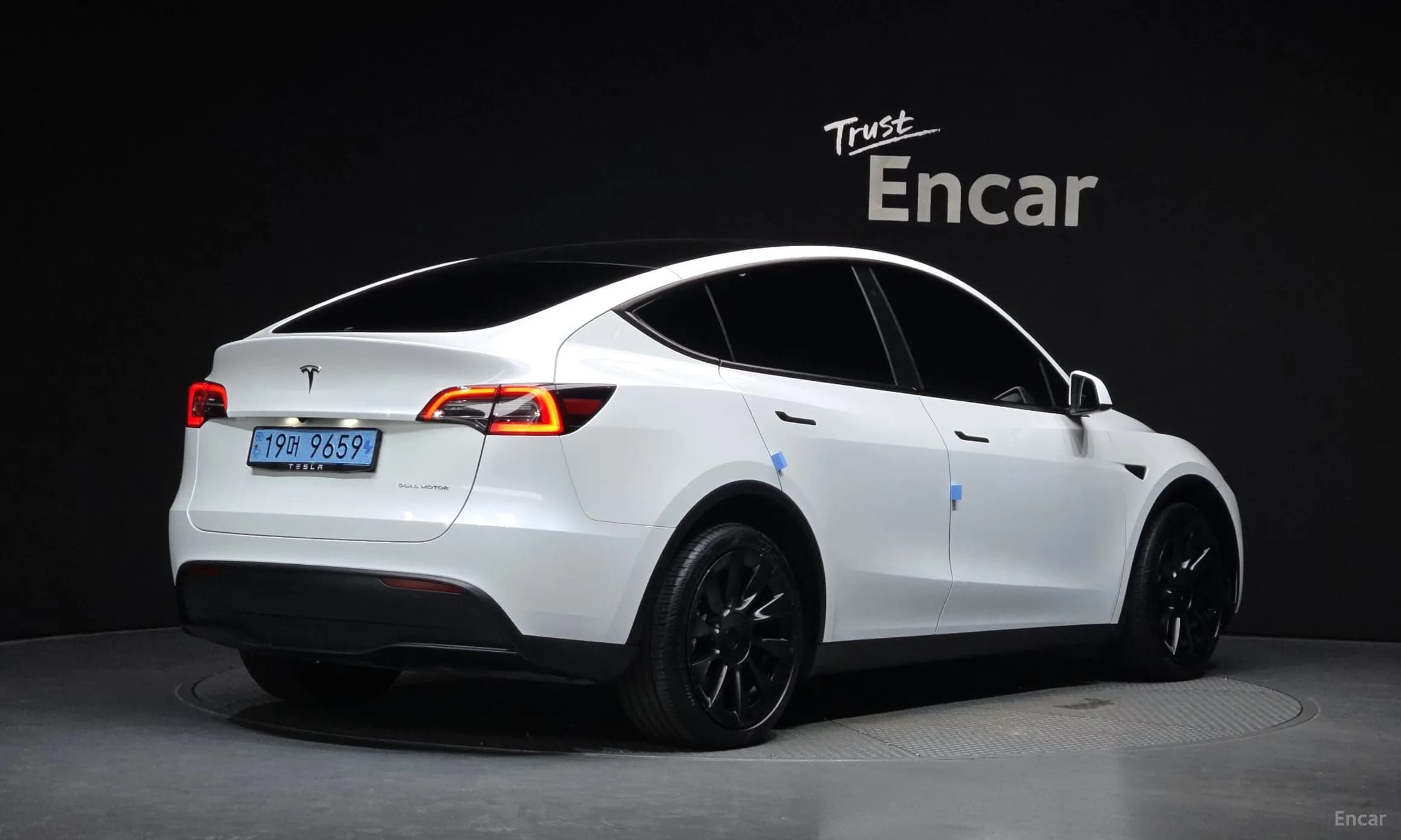 Model Y