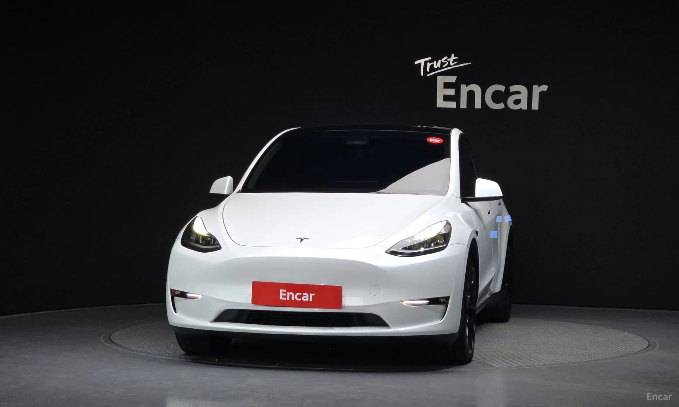 Model Y