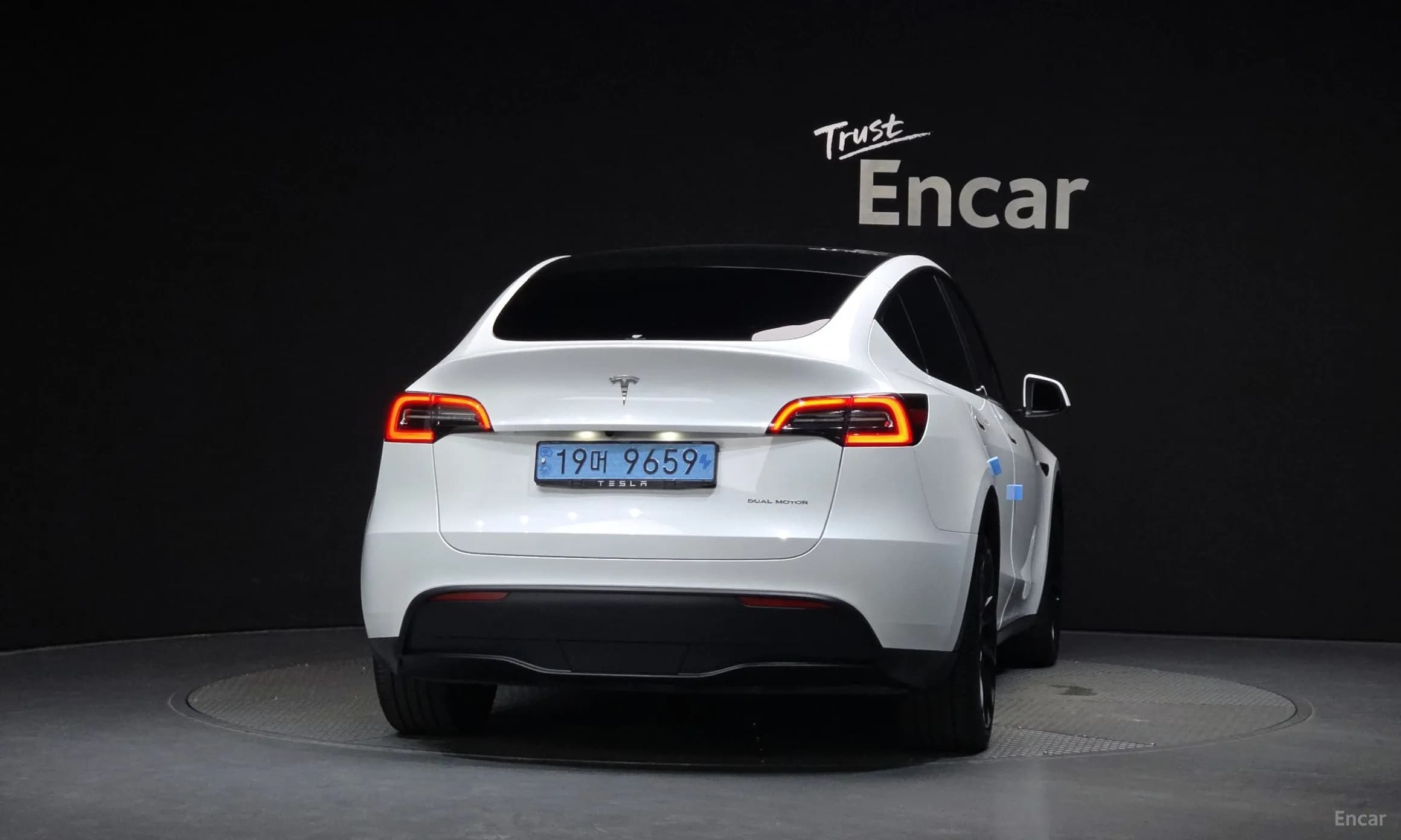 Model Y