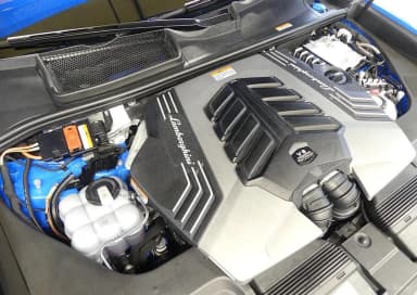 Urus