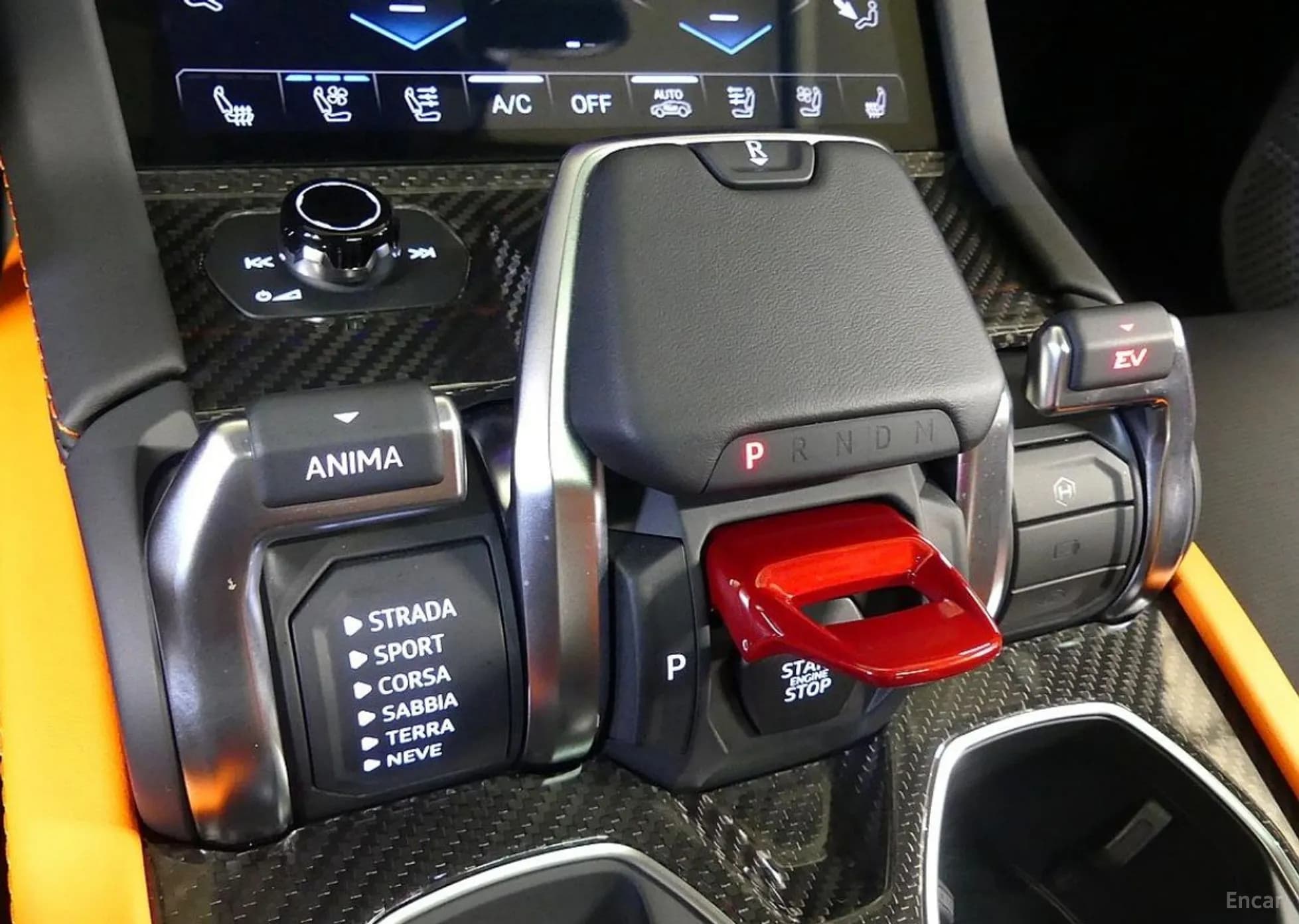 Urus