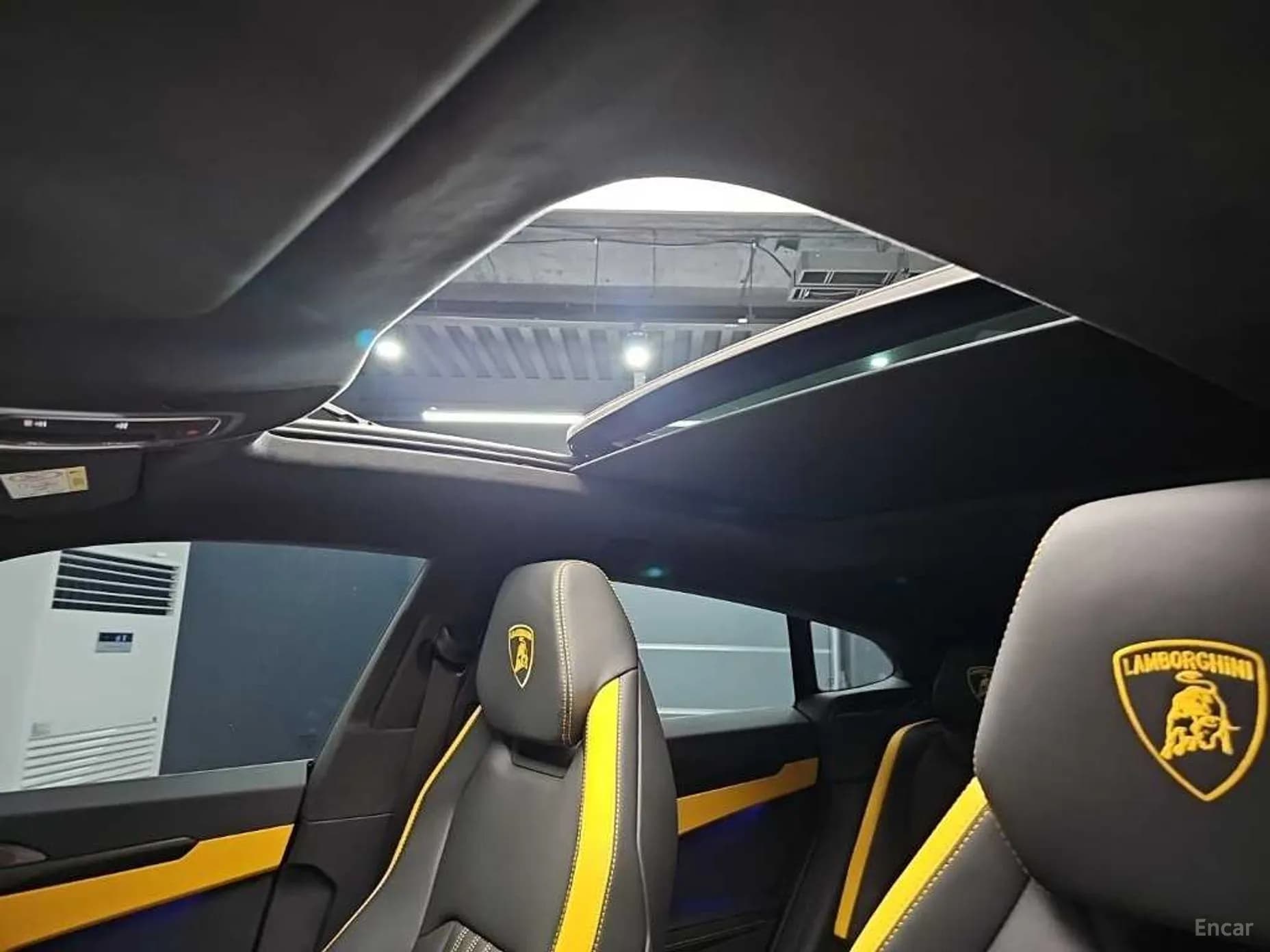 Urus