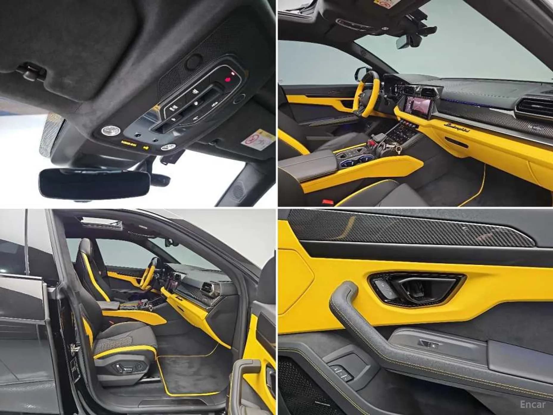 Urus