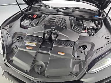 Urus