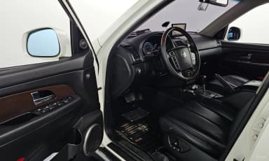 Rexton W