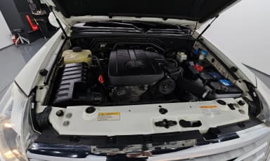Rexton W