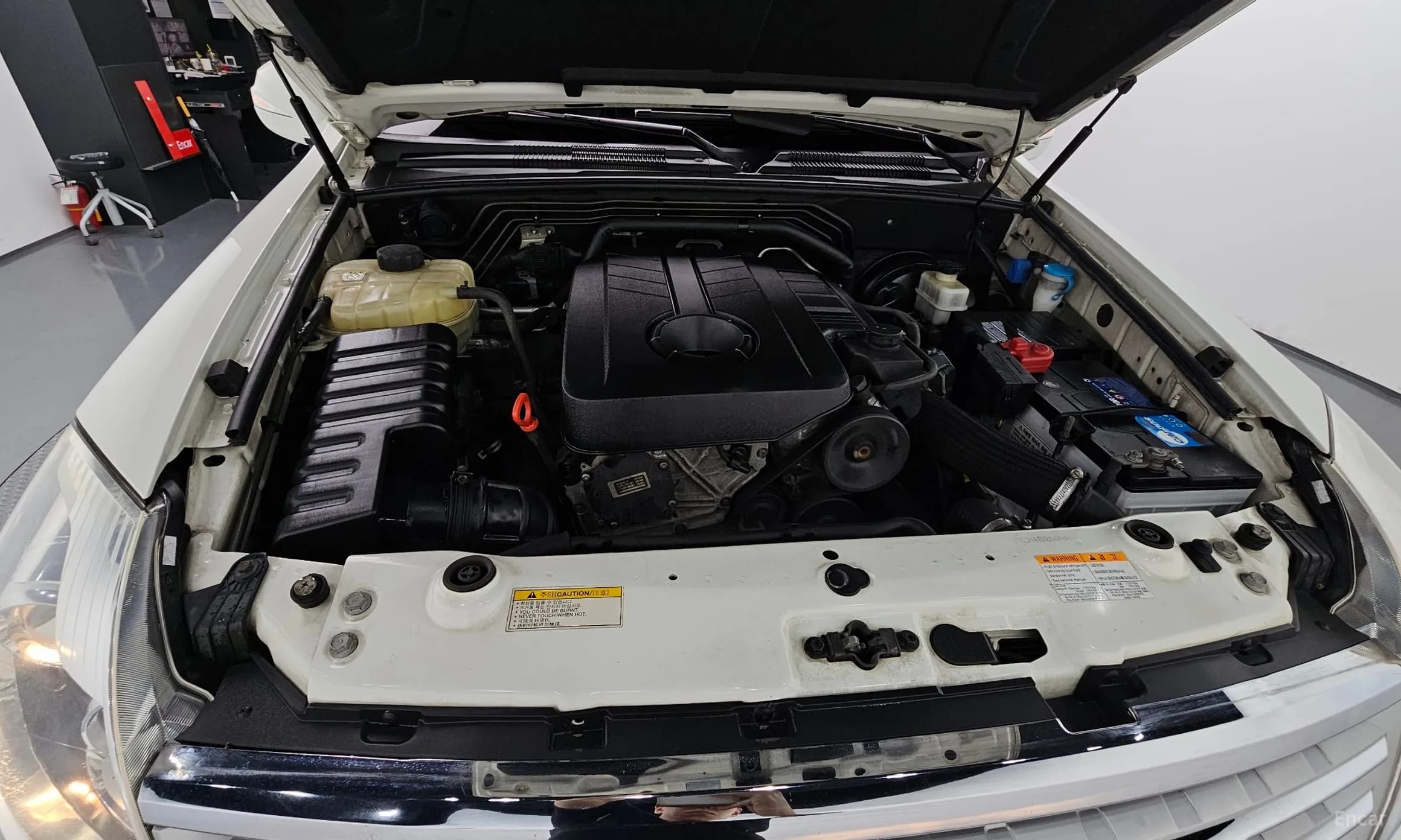 Rexton W