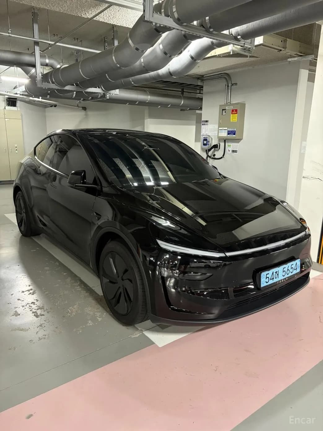 Model Y