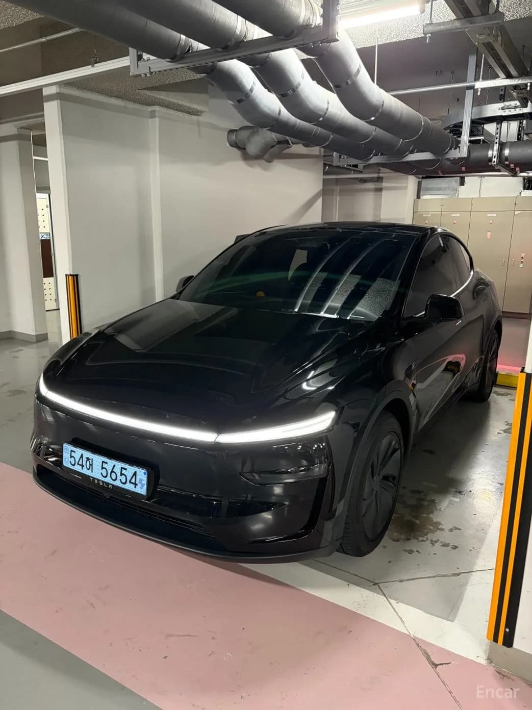 Model Y