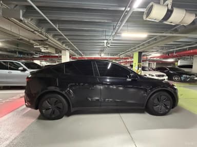 Model Y