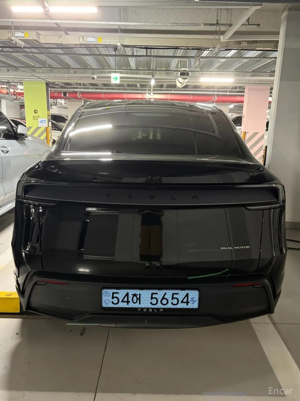 Model Y