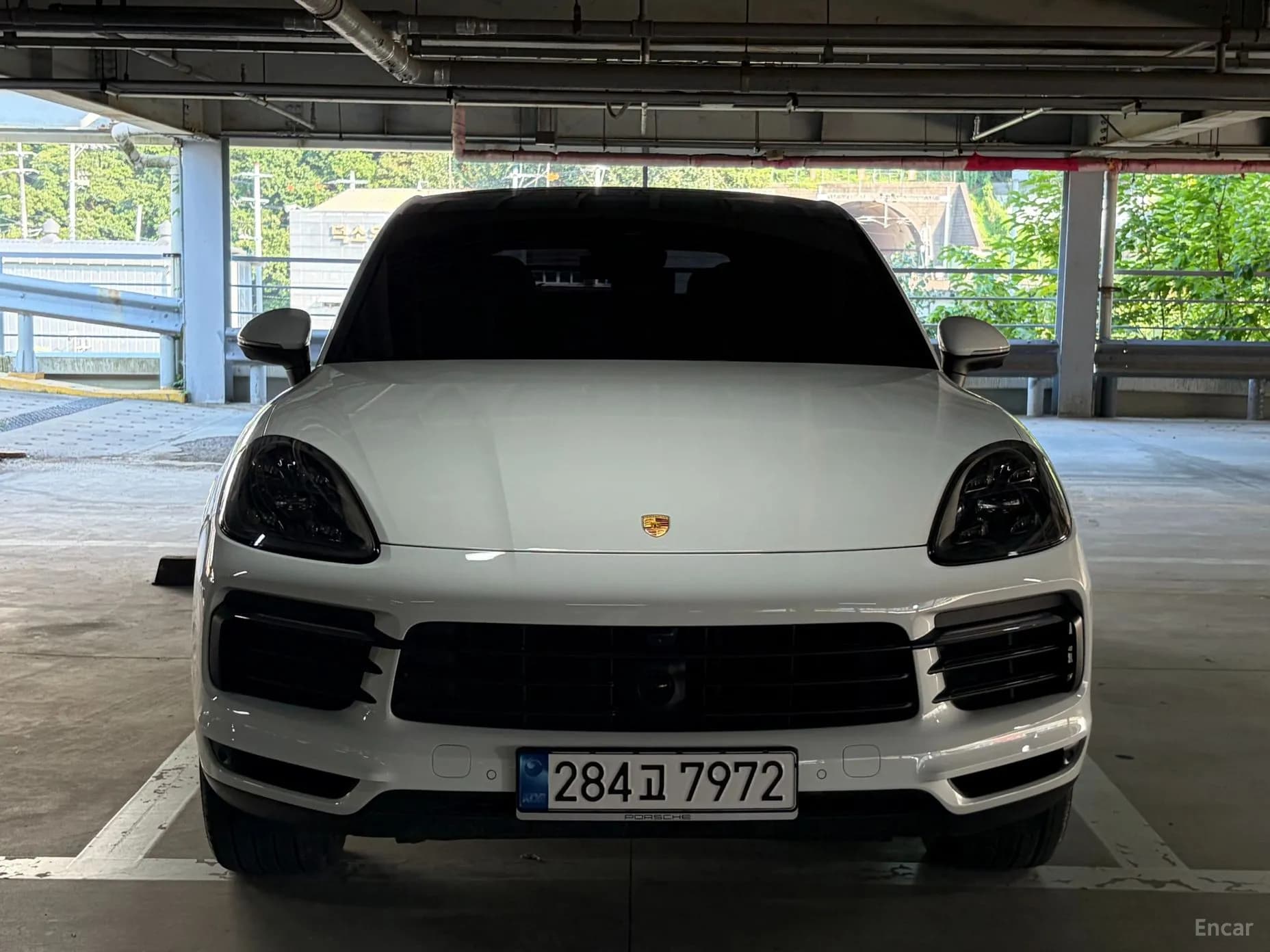 Cayenne (PO536)