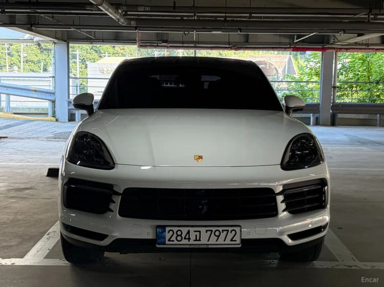Cayenne (PO536)