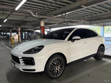 Cayenne (PO536)