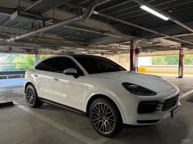 Cayenne (PO536)