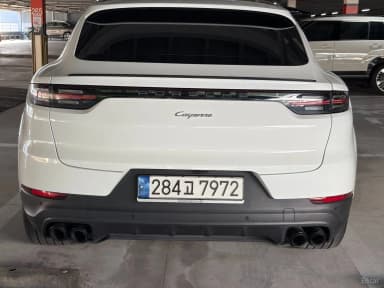Cayenne (PO536)