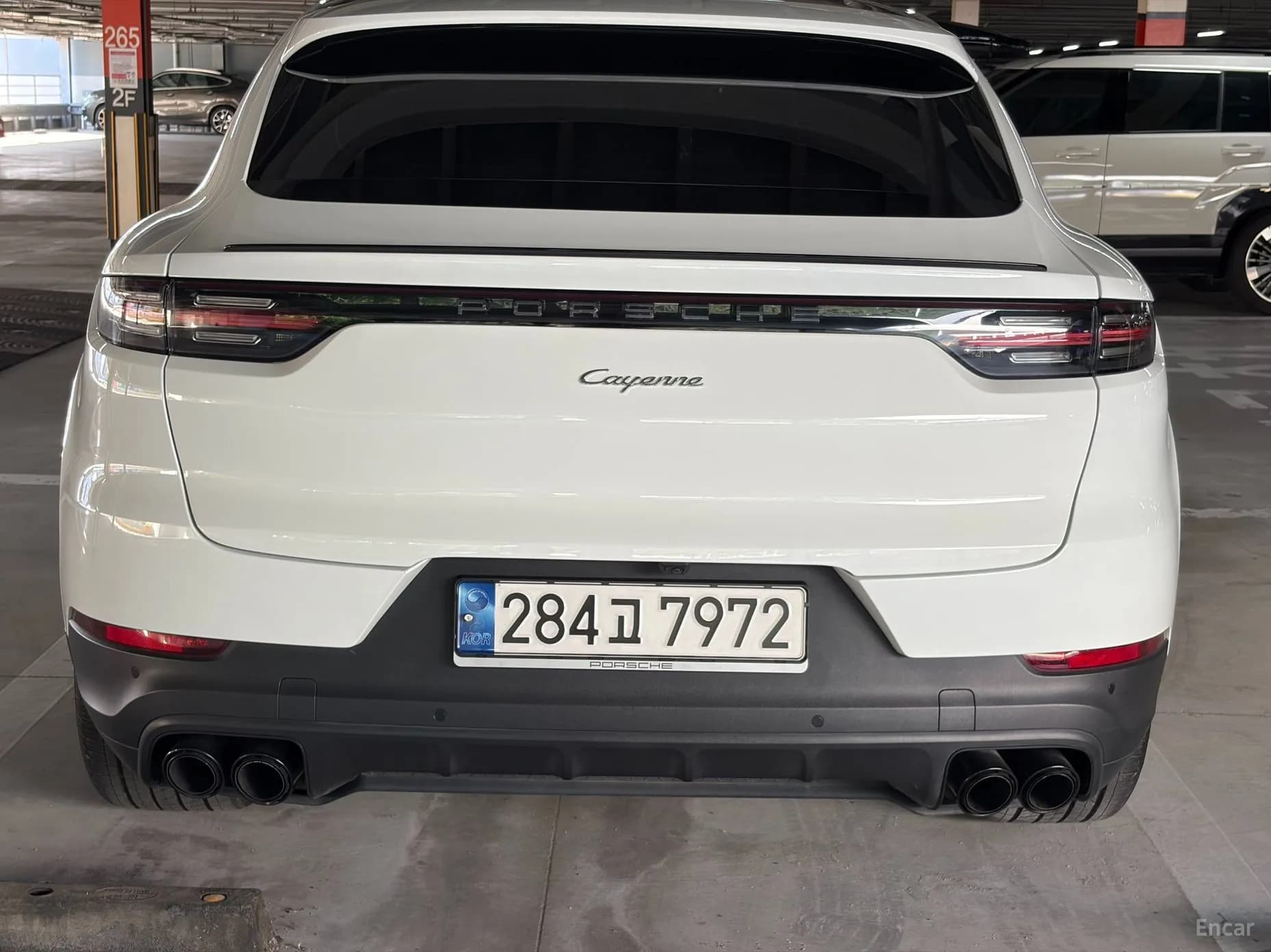 Cayenne (PO536)
