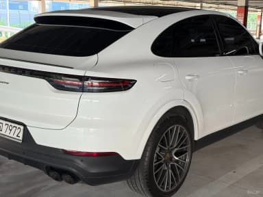 Cayenne (PO536)