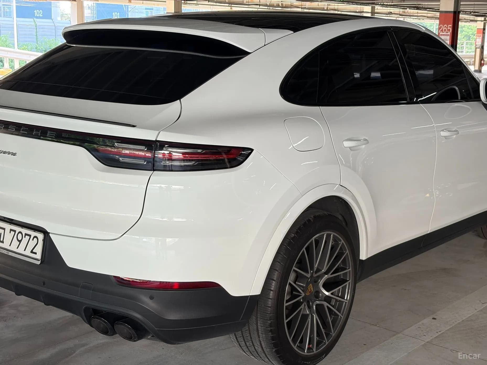 Cayenne (PO536)