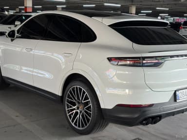 Cayenne (PO536)