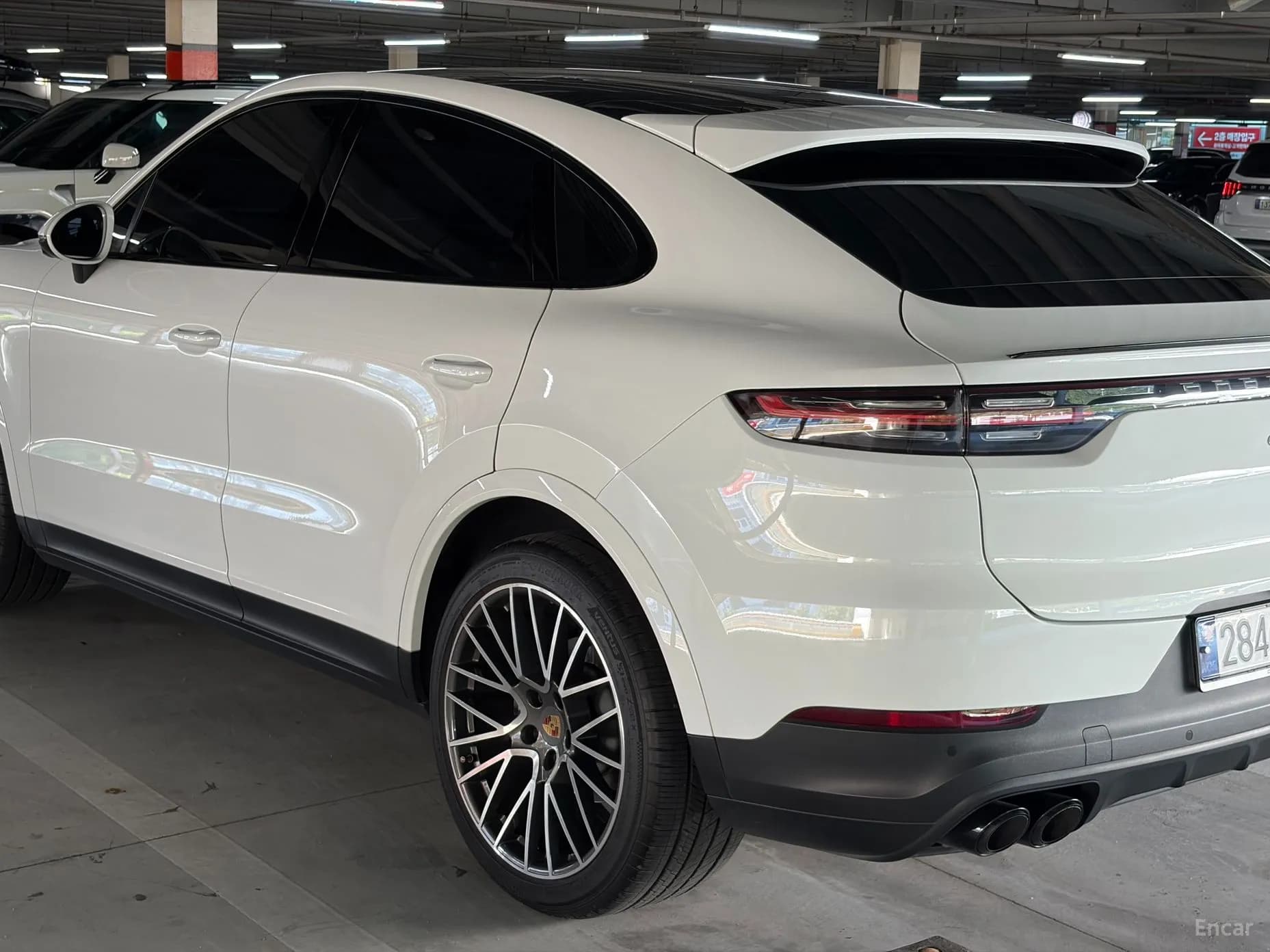 Cayenne (PO536)