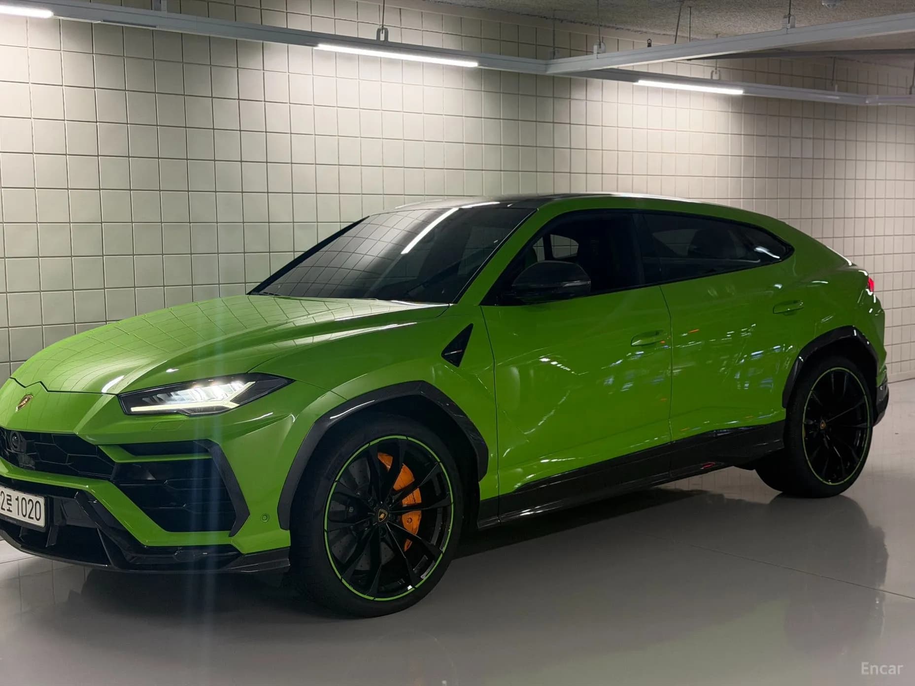 Urus