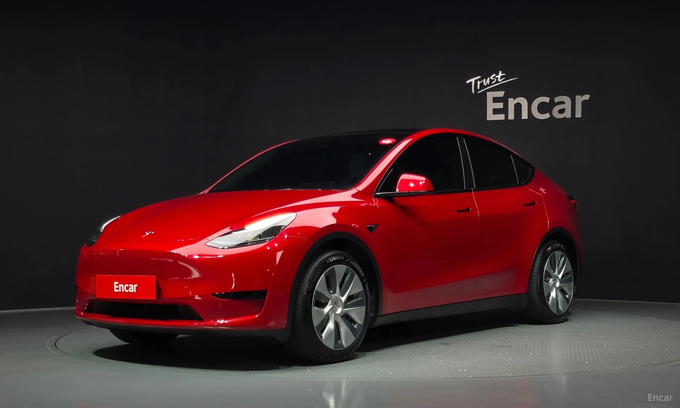 Model Y