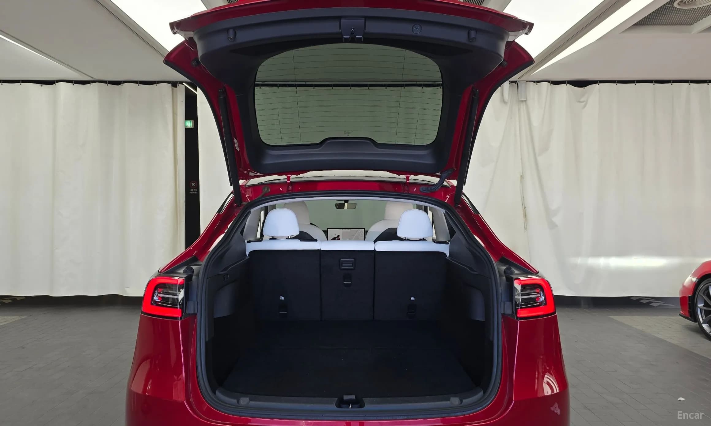 Model Y