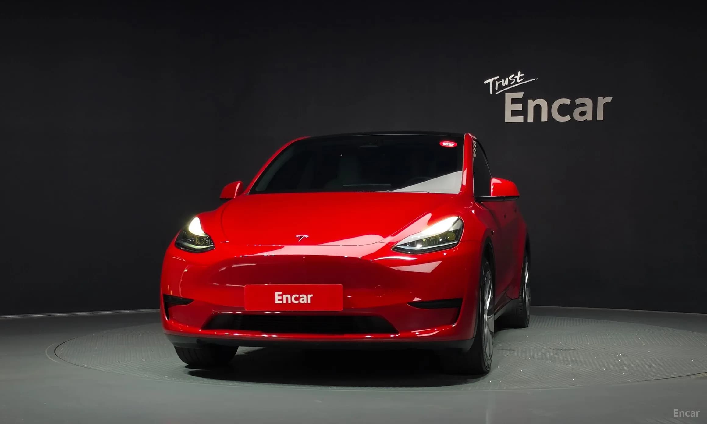 Model Y