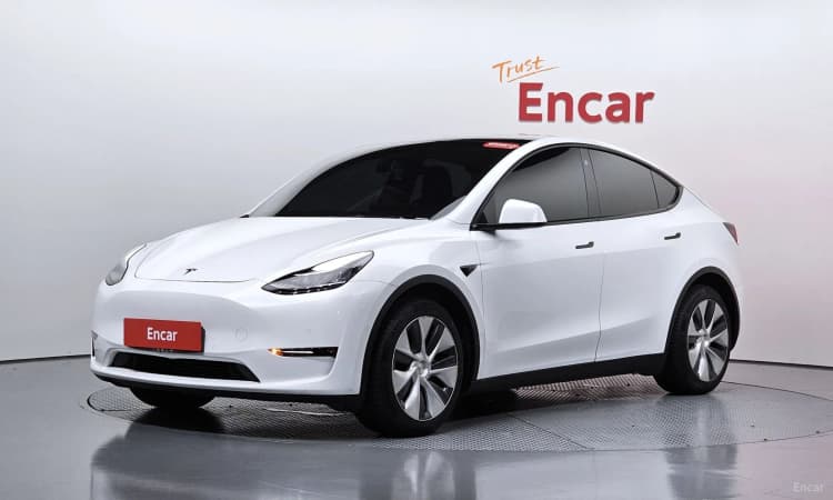 Model Y