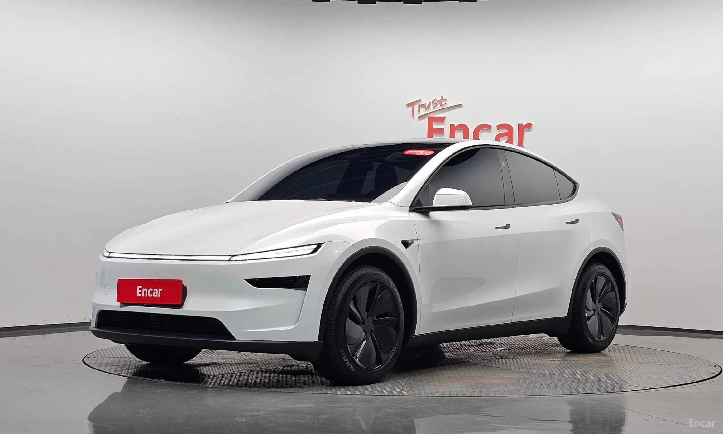 Model Y