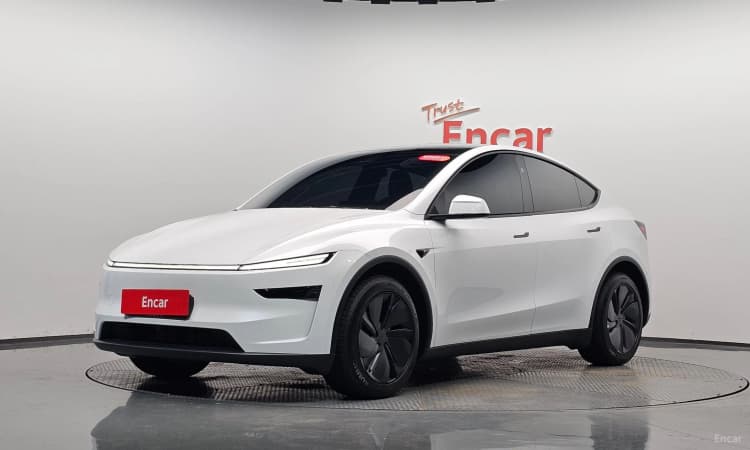 Model Y