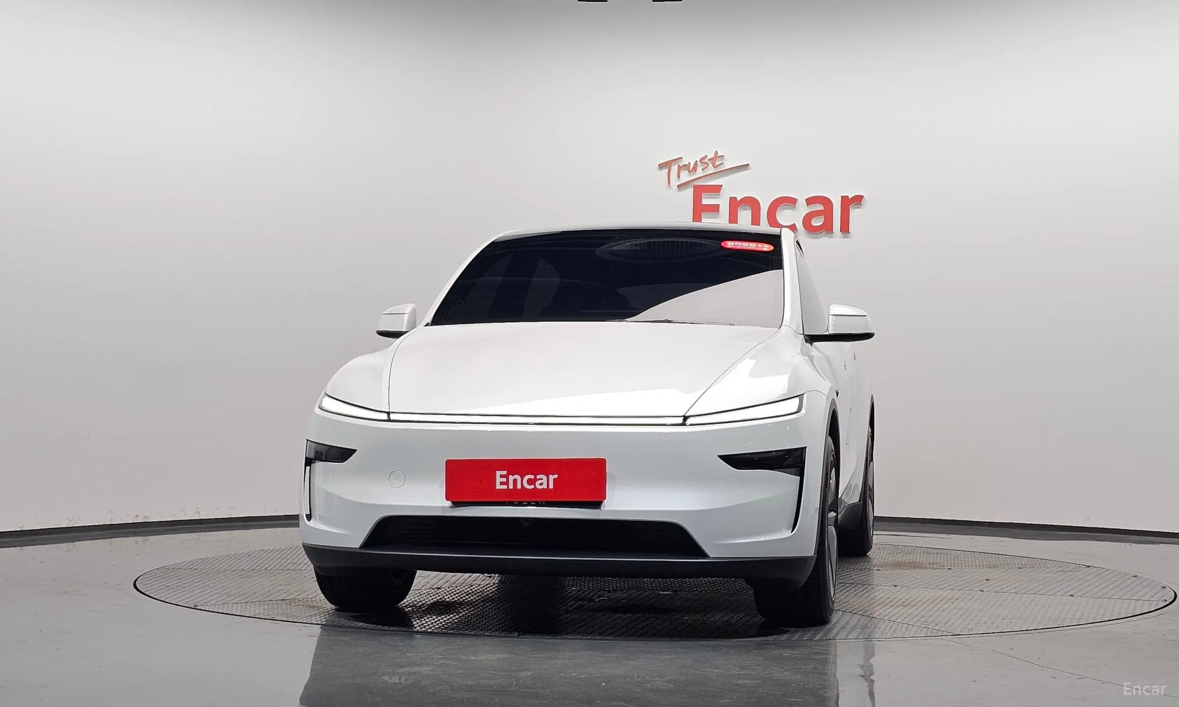 Model Y